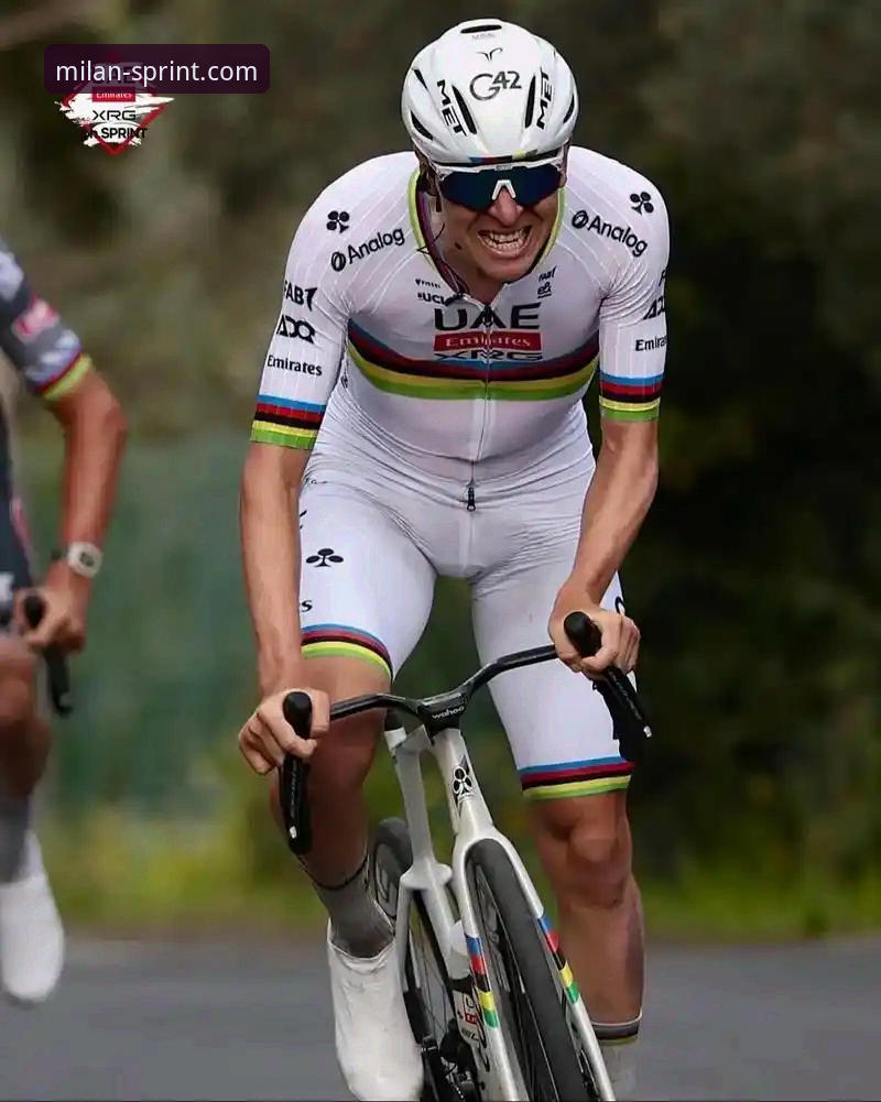 官方入口 vs 第三方渠道：米兰体育平台2025新版体验深度对比